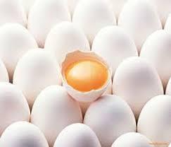 طی اطلاعیه ای اعلام شد:/-عرضه تخم مرغ غیربهداشتی در تهران و شمال