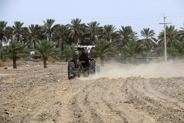 نوسازی ۹۵۰هزار هکتار اراضی کشاورزی در برنامه ششم