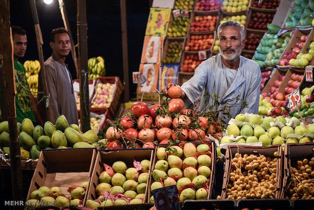 میوه شب عید با کیفیت مناسب در قزوین عرضه می شود