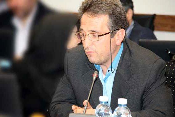 اجرای طرح ملی کاهش سن و وزن مرغ کشتار در تهران از اول آذر ماه