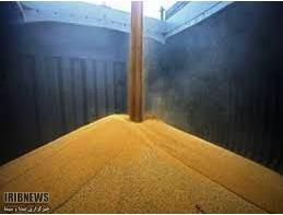 آغاز به کار بزرگترین کارخانه تولید خوراک دام کشور در چناران