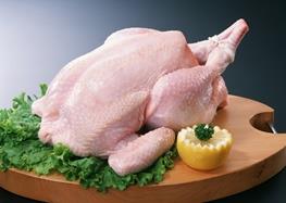 کاهش قیمت مرغ منجمد در آذربایجان غربی