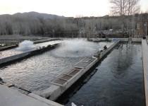 آغاز پرورش ماهیان گرمابی در شهرستان سیریک