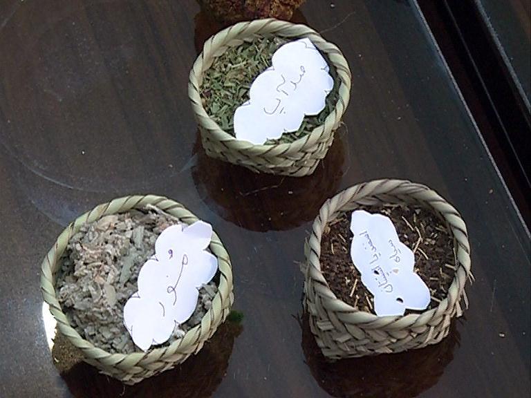 فعالیت بیش از 70 شرکت در پارک علم و فناوری سیستان و بلوچستان