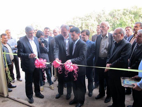 نخستین کارخانه تولید خوراک دام از سرشاخههای نیشکر در کشور راهاندازی شد