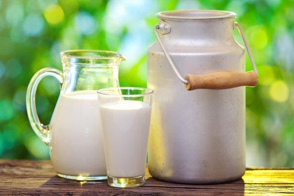دامداران منتظر پاسخ حجتی/ خرید تضمینی شیرخام تمدید می‌شود؟
