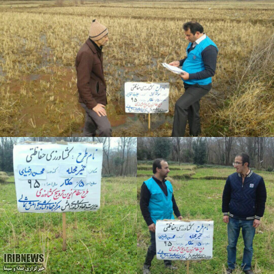 اجرای طرح کشاورزی حفاظتی - کم خاک ورزی در گیلان