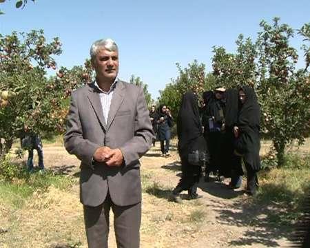 اجرای موفق طرح جایگزین کشت بهاره با کشت پاییزه دراستان  اردبیل