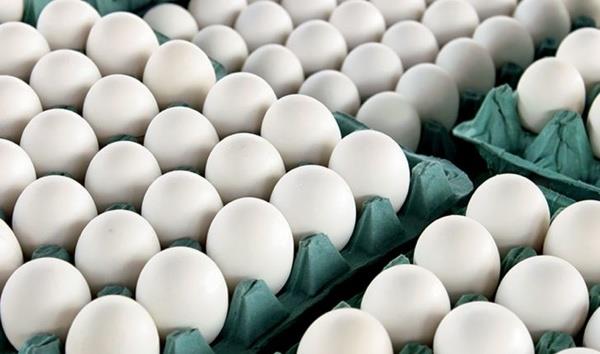 توزیع روزانه 30 تن تخم مرغ در خراسان رضوی در ایام نوروز ادامه دارد