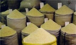 اعتراف نماینده ارشد مجلس هند به آلودگی برنج‌ هندی/ وارد کنندگان برنج کمتر از ۱۰ نفر هستند