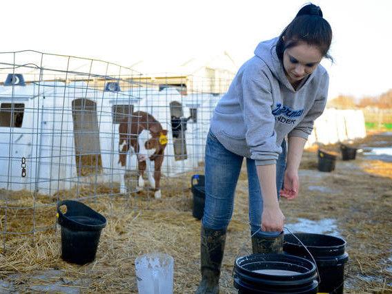 دانش‌آموزان با شغل‌های کشاورزی آشنا شدند