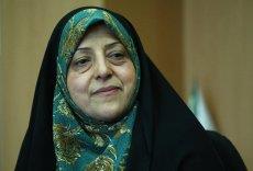 تدوین سیاست های کشاورزی در برنامه ششم، سازگار با تغییرات آب و هوایی/ قیمت خودکفایی در گندم چقدر است؟