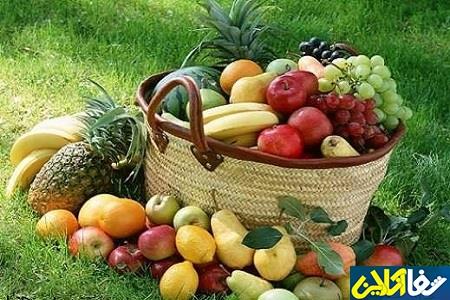 مفیدترین منابع تغذیه