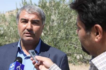 روغن زیتون موجود در بازار ایران، روغن تفاله زیتون خارجی است