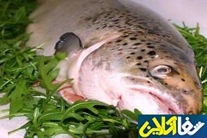 ماهی همچنان غائب سفره های ایرانی