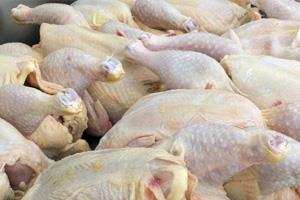 روند افزایش قیمت مرغ در اصفهان ادامه دارد