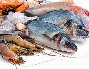 امضای دو سند همکاری شیلات بین ایران و چین