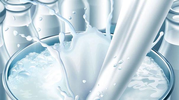 30 هزار تن شیرخام در طرح حمایتی خریداری شد