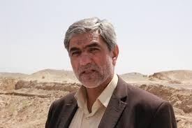 معاون وزیر جهاد کشاورزی:/-صرفه جویی 500هزار تنی خوراک دام با اجرای طرح کاهش سن کشتارمرغ