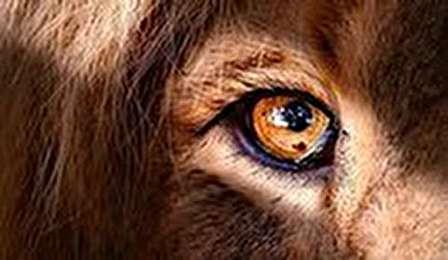 مصرف این مواد غذایی در زمستان ضروری است