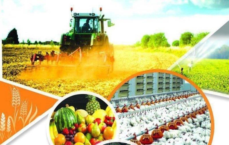 207 طرح کشاورزی در قزوین تسهیلات اشتغال روستایی دریافت کردند