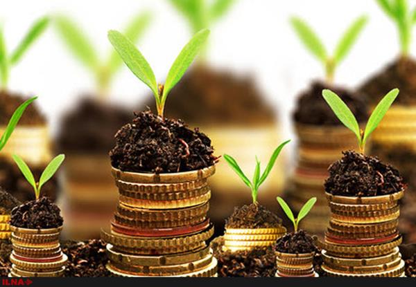 خسارت هنگفت قاچاق میوه طی سالهای 84 تا 88/ واردات بیرویه بیشترین آسیب را به تولید انجیر و لیموترش وارد کرد