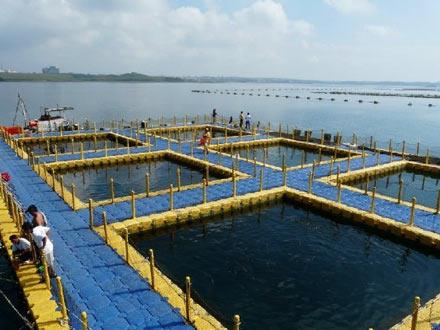 اجرای طرح آبزی پروری در خورهای منتهی به خلیج فارس