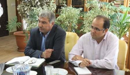 فرآورده های جدید از زیتون امسال وارد بازار می شود