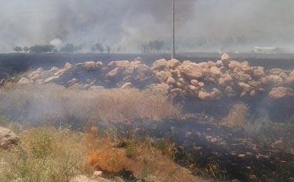 تکفیریها قبل از فرار، مزارع سوریه را به آتش می‌کشند