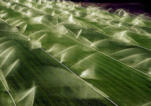 تناقض در آمار وزارتخانههای نیرو و کشاورزی/ وقتی 30 درصد منابع آب کشور گم میشود