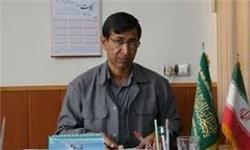 ورشکستی در کمین ۷۱ واحد تولیدی کشاورزی