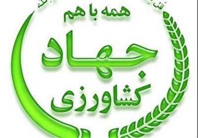 وزارت جهاد کشاورزی 2000 میلیارد تومان بودجه جدید گرفت