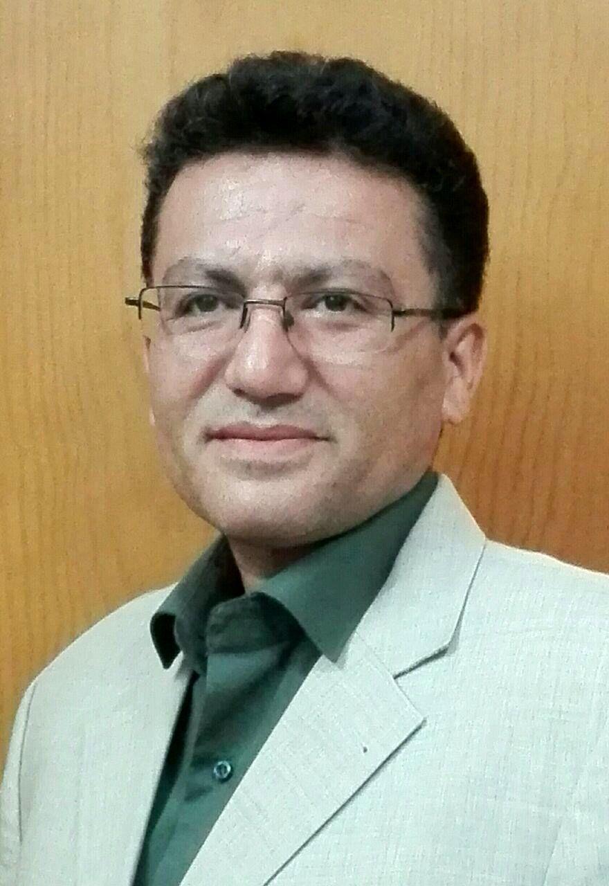 80 تا 95 درصد آب گیاه، با تعرق از دست می‌رود/ افزایش 70 درصدی راندمان کشاورزی با احداث بادشکن