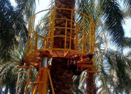 ساخت بالابر درخت خرما در بم کرمان برای اولین بار