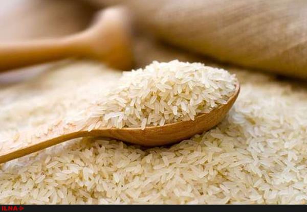 افزایش 8 درصدی تولید برنج در مازندران/ تغییر کاربری اراضی کشاورزی مهار شد