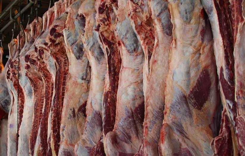 کاهش قیمت 45 هزارریالی گوشت گوسفندی داخلی در بازار مصرف