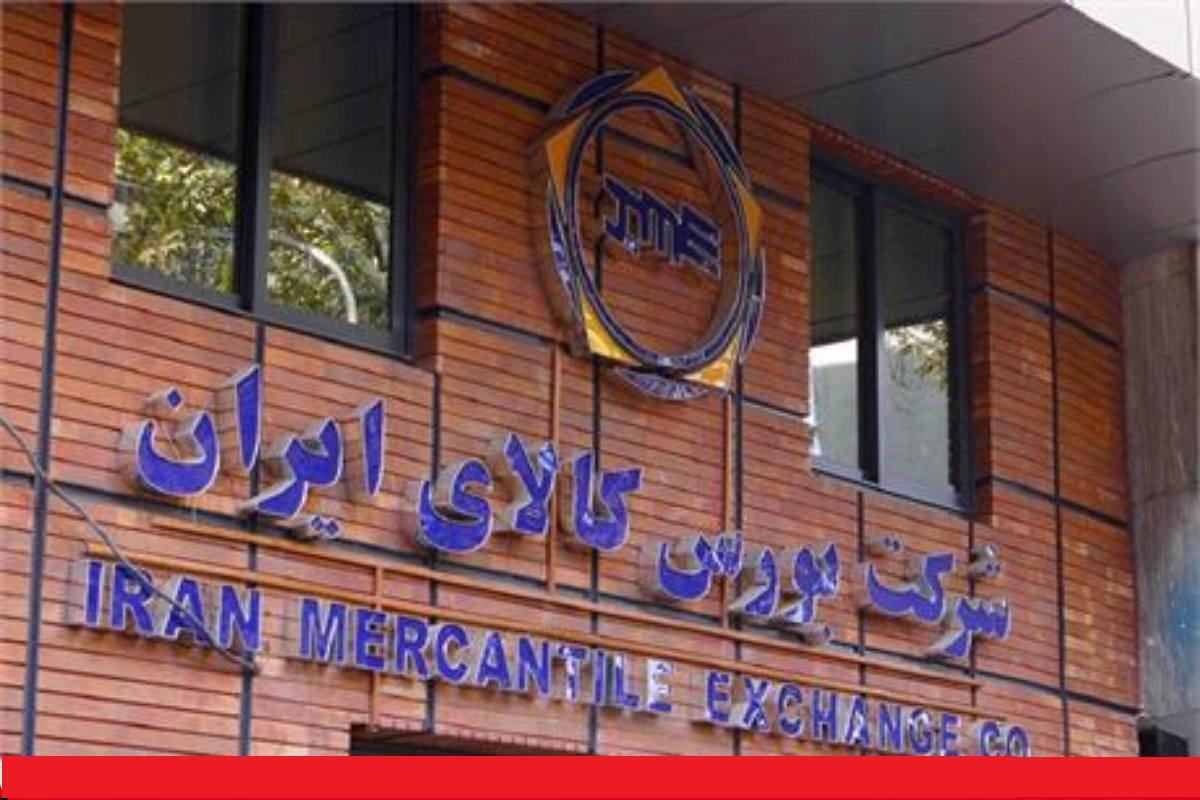 عرضه بیش از 47 هزار تن ذرت دانه ای در بورس کالا