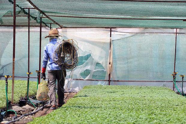 توصیه های کشاورزی برای شرایط اقلیمی و تغییرات آب و هوایی مناطق مختلف کشور