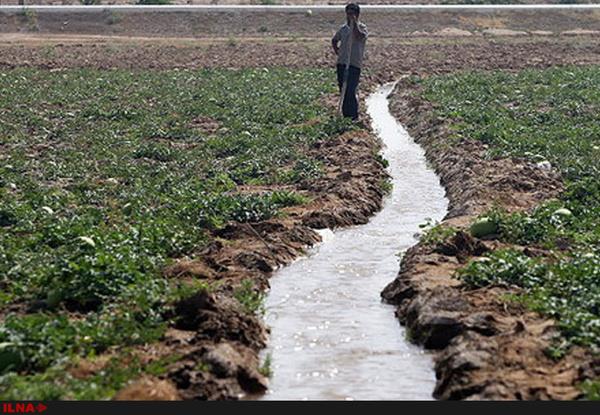 طغیان بیماریها در مناطقی که محصولات کشاورزی با فاضلاب آبیاری میشود