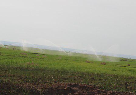 اجرای طرح آبیاری تحت فشار در 32 هزار هکتار از اراضی دهلران
