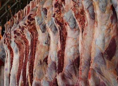 سالانه 36 هزار تن گوشت قرمز در استان کرمانشاه تولید می شود