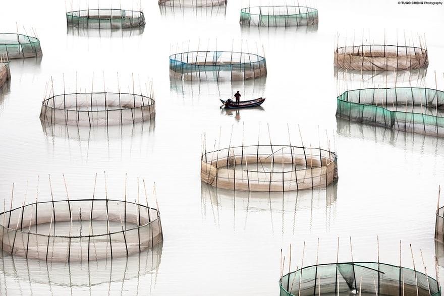 تصاویر | دنیای بامبوها؛ نگاهی هنری به استخرهای پرورش ماهی در چین