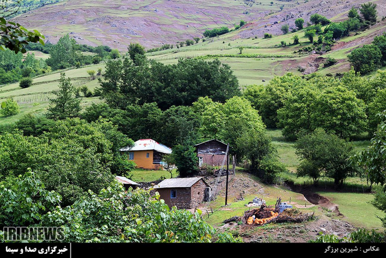 روستایی زیبا در دل جنگل های گیلان + تصاویر
