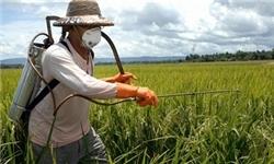 بیش از 20 درصد سموم کشاورزی وارداتی است/کیفی‌سازی سموم با ورود شرکت‌های اروپایی و آمریکایی