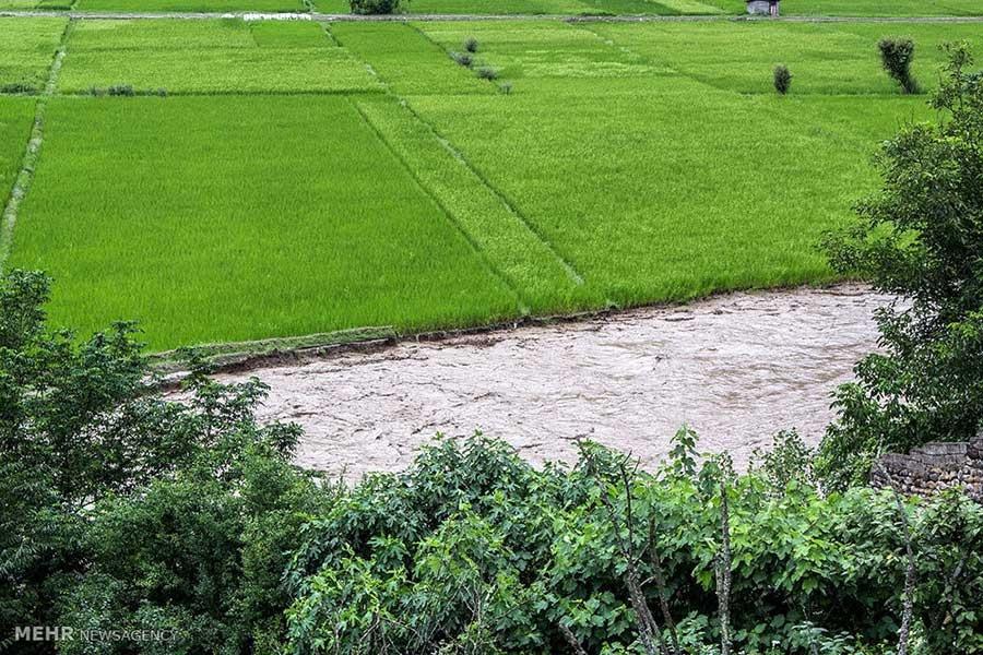 بلایی که سیلاب بر سر سوادکوه آورد