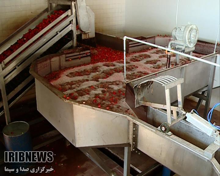 پرداخت تسهیلات به طرح های تبدیلی و تکمیلی کشاورزی