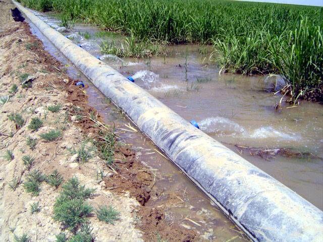 برگزاری کارگاه آموزشی استفاده و مصرف بهینه آب کشاورزی
