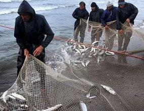 افتتاح 95 پروژه شیلاتی درهفته دولت