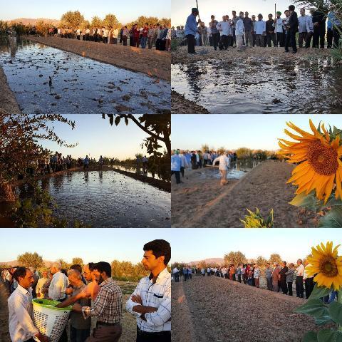 برگزاری آیین سنتی « آب به بذر شلغم » در خور و بیابانک