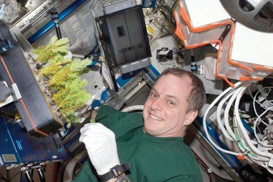 باغچه فضایی/تحول روش‌ها و ابزارهای کشاورزی در ایستگاه فضایی